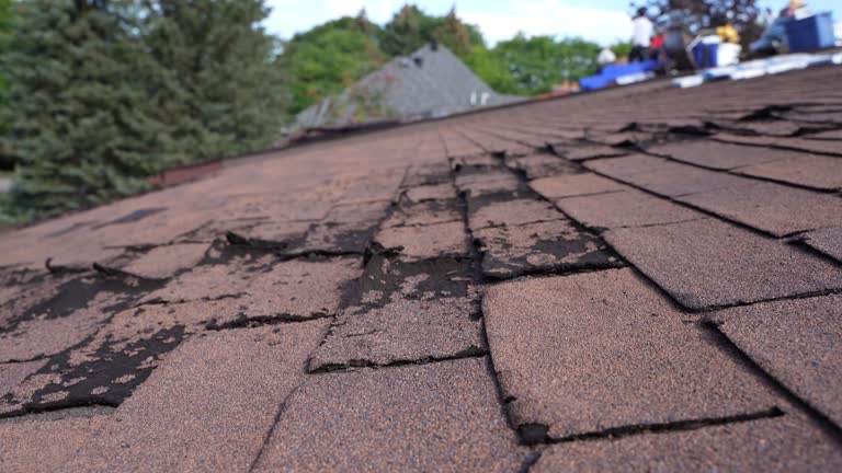 Best Green or Eco-Friendly Roofing Solutions  in Marietta, GA